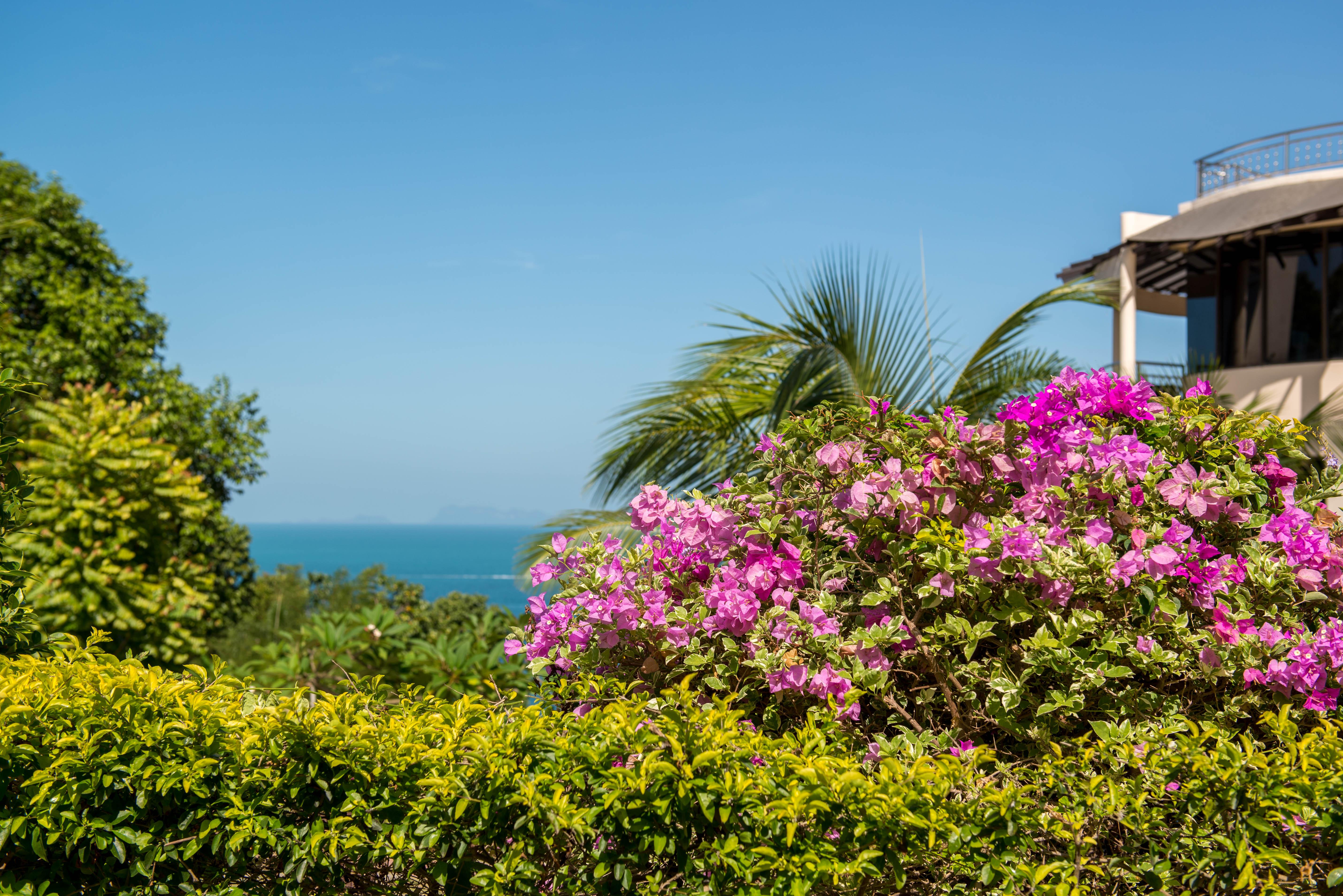 Sunset Hill Boutique Resort Koh Phangan Haad Chao Phao Exterior photo